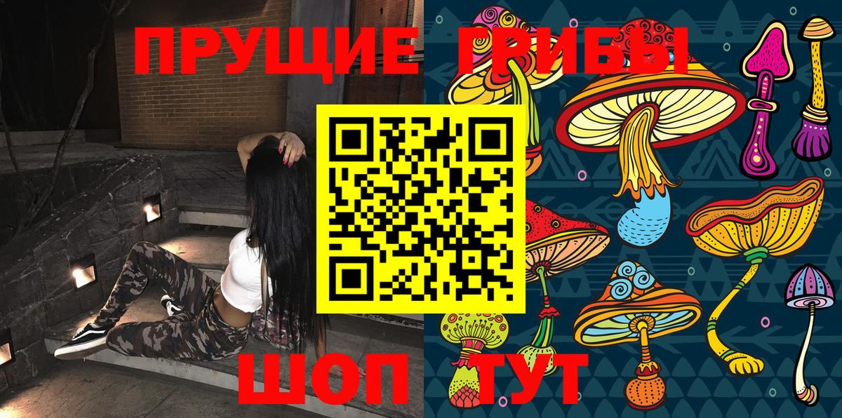 Псилоцибиновые грибы GOLDEN TEACHER Рязань