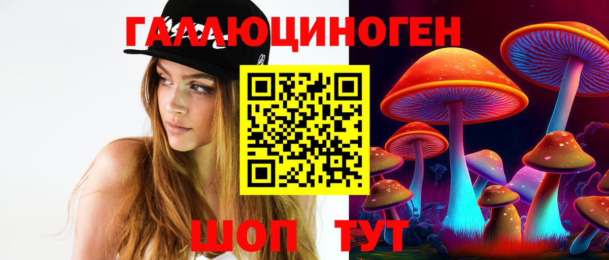 закладка  Вход с VPN  Рязань  Псилоцибиновые грибы мицелий  Псилоцибиновые грибы GOLDEN TEACHER 